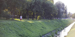 Citizen Park
